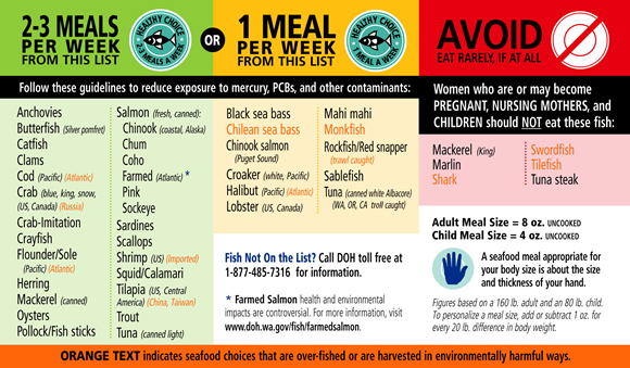 Planning Your Paleo Meals Is Key To A Successful Paleo Diet