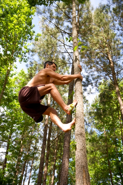 MovNat Man Tree Climbing